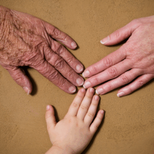 Warsztaty Ustawień Traum Rodowych (własne ustawienie)